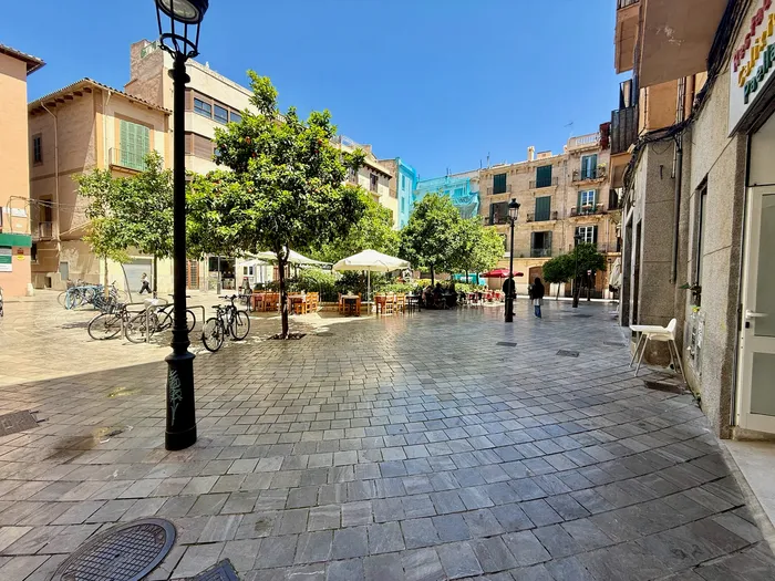Banc de S'oli — foto 10